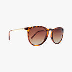 Hale | Classic Tortoise
