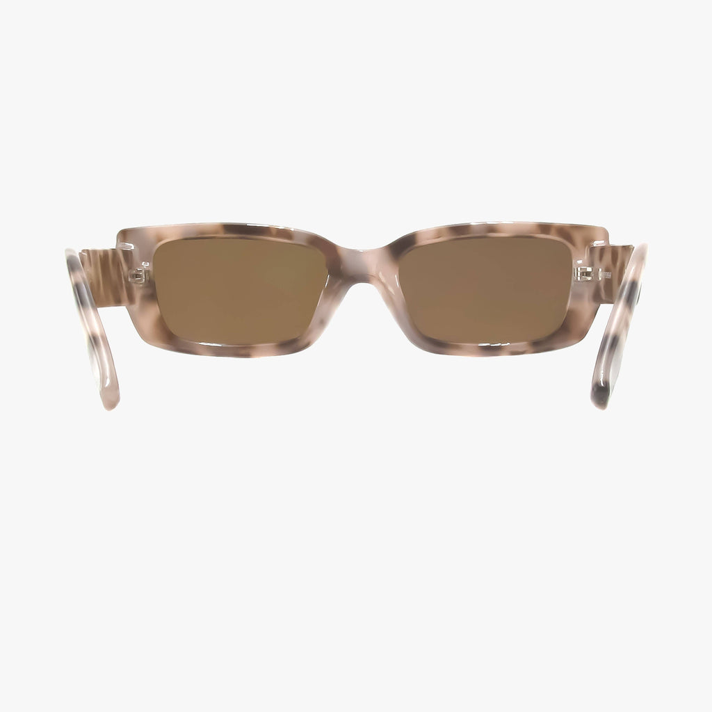 Haven | Tortoise