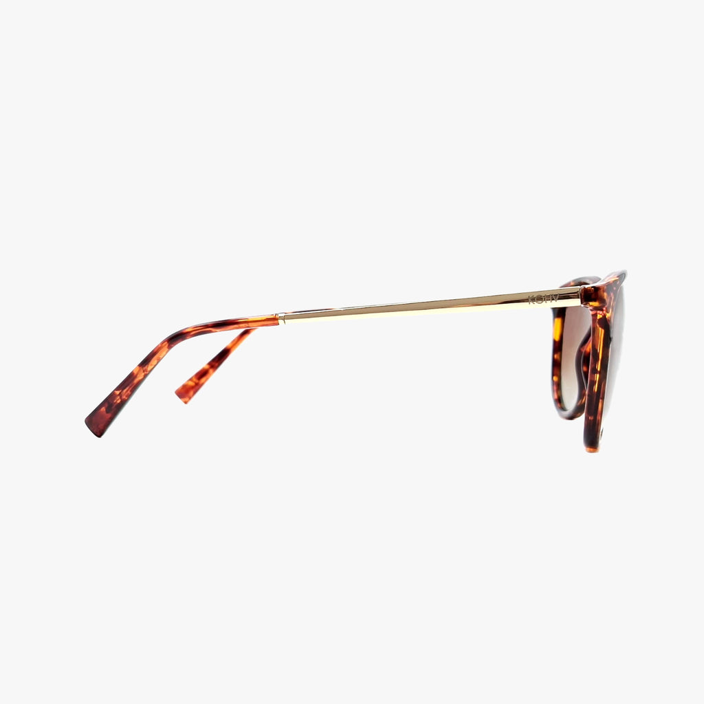Hale | Classic Tortoise