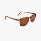 Bean | Classic Tortoise