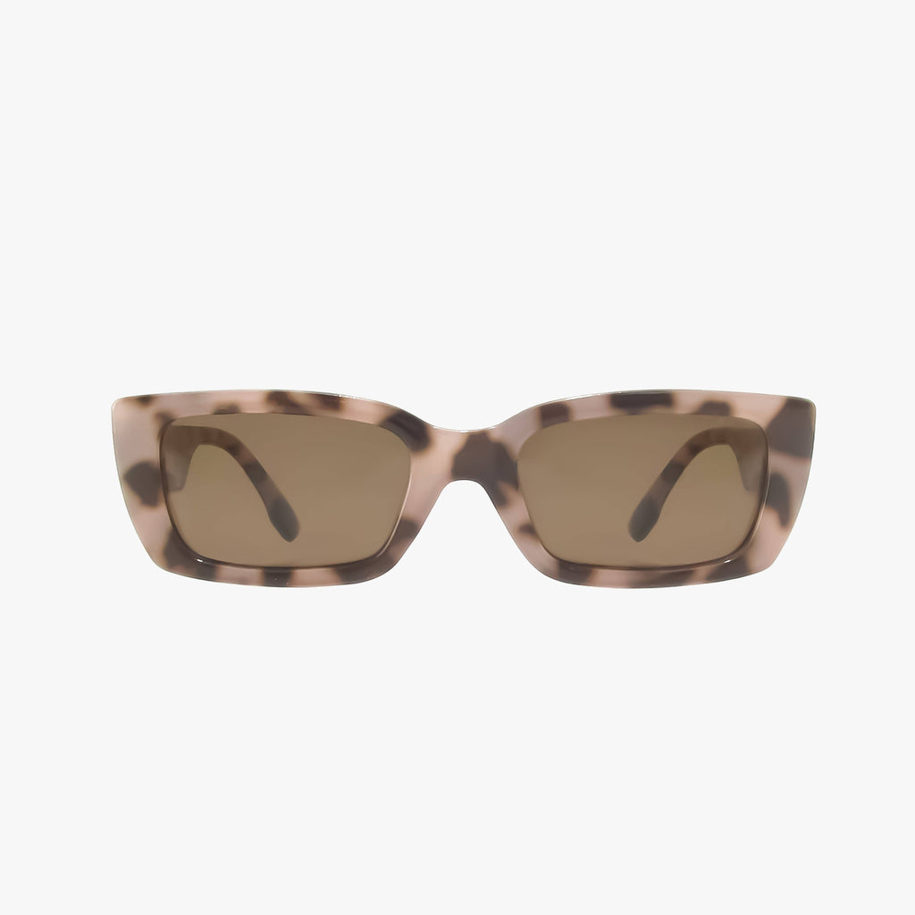 Haven | Tortoise