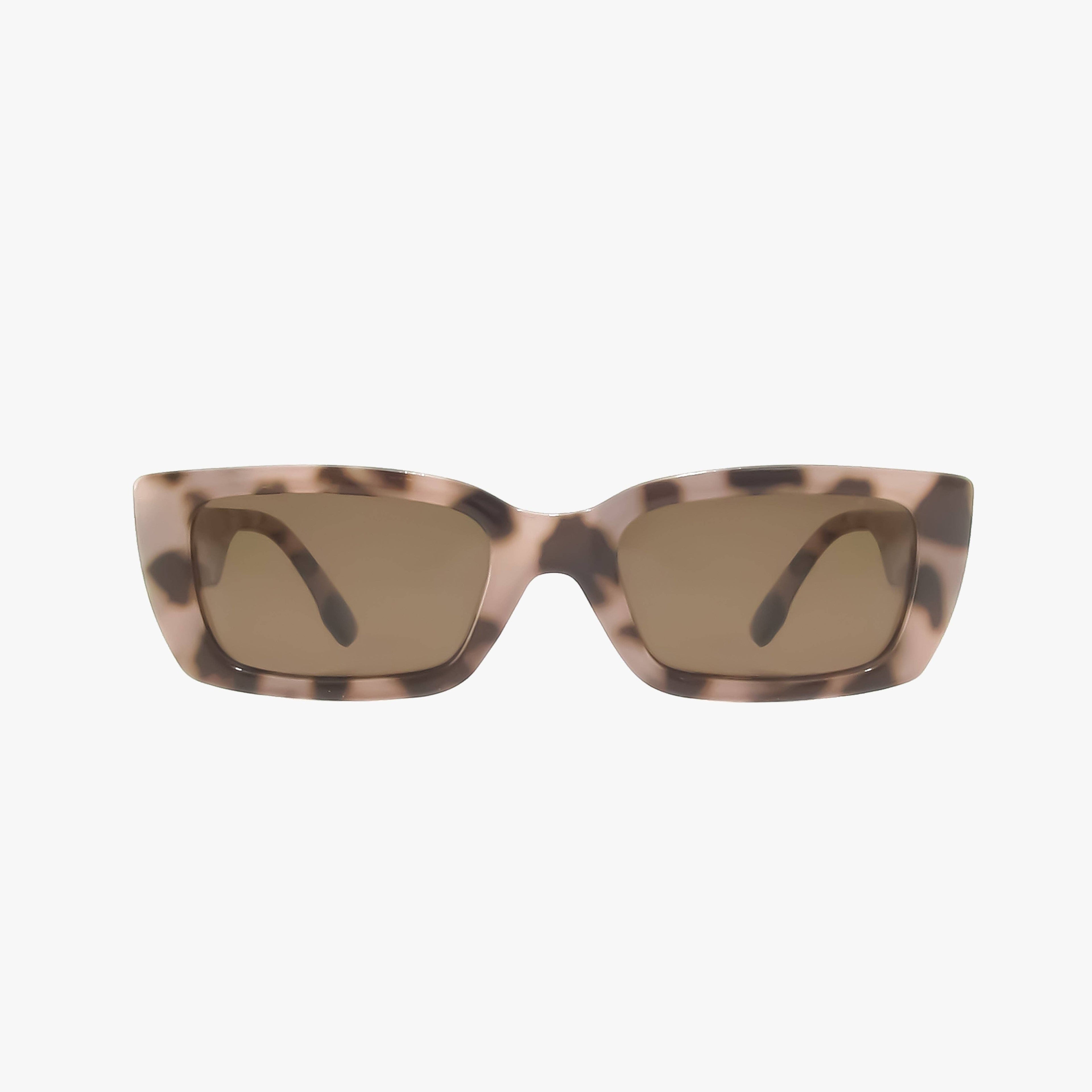 Haven | Tortoise