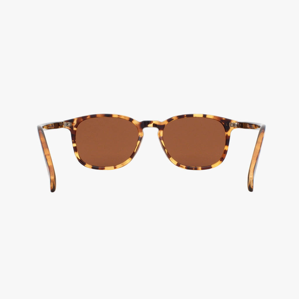 Bean | Classic Tortoise
