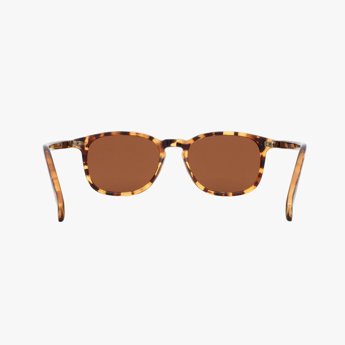 Bean | Classic Tortoise