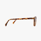 Bean | Classic Tortoise
