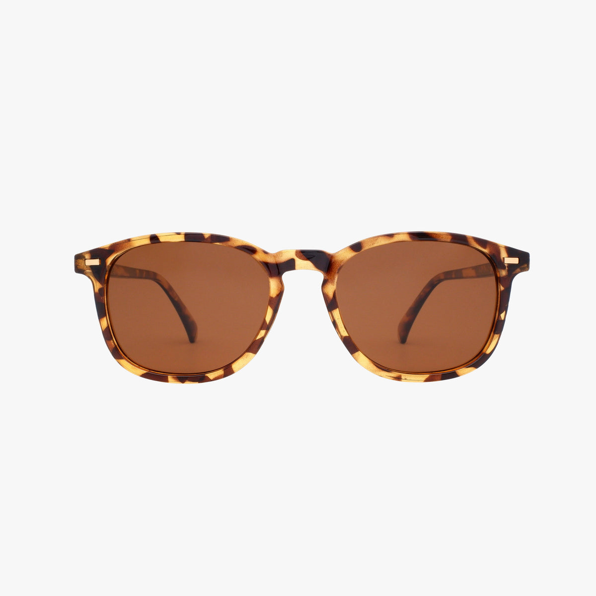 Bean | Classic Tortoise