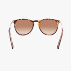 Hale | Classic Tortoise